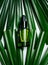 Green glass cosmetic pipette bottle on palm leaves. Healthy skin care beauty product with nourishing natural serum and moisturizer