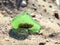 Green glass piece on sand, Lithuania