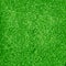 Green glitter makeup background