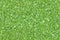 Green glitter texture background