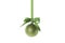 Green glittering Christmas bauble isolated