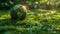 A green globe in a forest with moss and abstract sunlight defocused on it on Earth Day