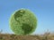 Green globe in grass