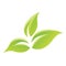 Green Glossy Leaves Icon