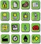 Green Glossy Web Icons