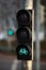 Green glowing bicycle traffic light sign allows driving on the street