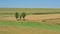 Green and golden meadows and fields with trees in the Wallonian countryside