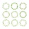 Green and golden twisted leaves Christmas wreaths set design elements on white background