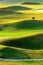 Green golf field with lights and shadows