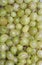 Green gooseberries