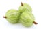 Green gooseberry fruit on white