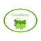 Green gooseberry label vector design isolated on white backgrou