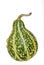 Green gourd