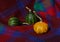 Green gourds with orange warty ornamental gourd on red plaid