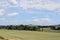 green grain fields in the Eifel