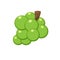 Green grape in flat cartoon style isolated on white