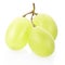 Green grape fruit