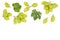 Green grapes isolated on the white background with copy space for your text. Top view. Flat lay pattern