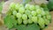 Green Grapes (seamless loopable)