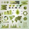 Green Graphic Elements For Infographics.