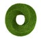 Green grass abstract shape donut