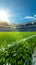 Green grass adorns soccer stadium arena, creating picturesque backdrop