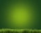 Green grass background 3d render