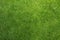 Green grass background