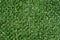 Green grass background. Artificial fencing