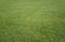 Green grass background. Grass lawn texture. Soccer or golf grass field. Grass land. Grassy turf. Sports pitch