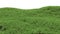 Green grass background. Hilly landscape covered with grass.