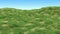 Green grass background with islands of dry withered grass. Hilly landscape covered with grass.