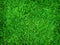 Green grass background, nature texture