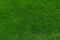 Green grass background texture