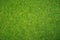 Green grass background, top view background of garden bright grass concept used for making green backdrop