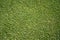Green grass background, top view background of garden bright grass concept used for making green backdrop, lawn for sports field