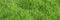 Green grass banner background. Lush green grass background.