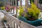 Green grass and blooming flowers in flower pots on fence. Flower containers on wooden fence in perspective. Terrace design.