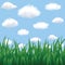 Green grass, blue sky and clouds