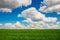 Green grass and blue sky with white clouds