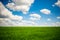 Green grass and blue sky with white clouds