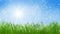 Green grass and blue sunny sky spring landscape