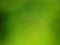 Green grass blur background