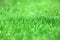 Green grass blured background, grass bokeh backdrop