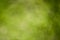 Green grass blurred background