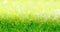 Green Grass Border With Defocused Natural Background