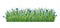 Green grass border. Fresh green cornflower and branches grass. Isolated on transparent background. Vector Illustration