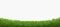 Green Grass Border Isolated Transparent Background