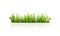 Green Grass Border. Isolated. Vector Illustration.