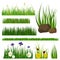 Green grass border plant lawn nature meadow ecology summer gardening vector illustration